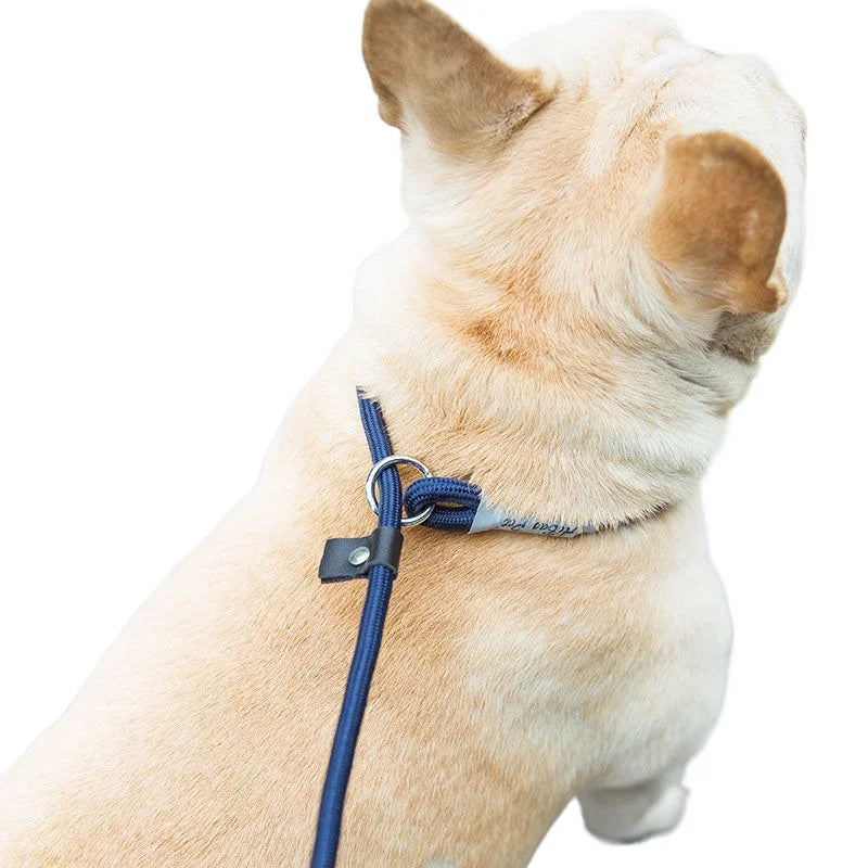 Braided Slip Rope Lead