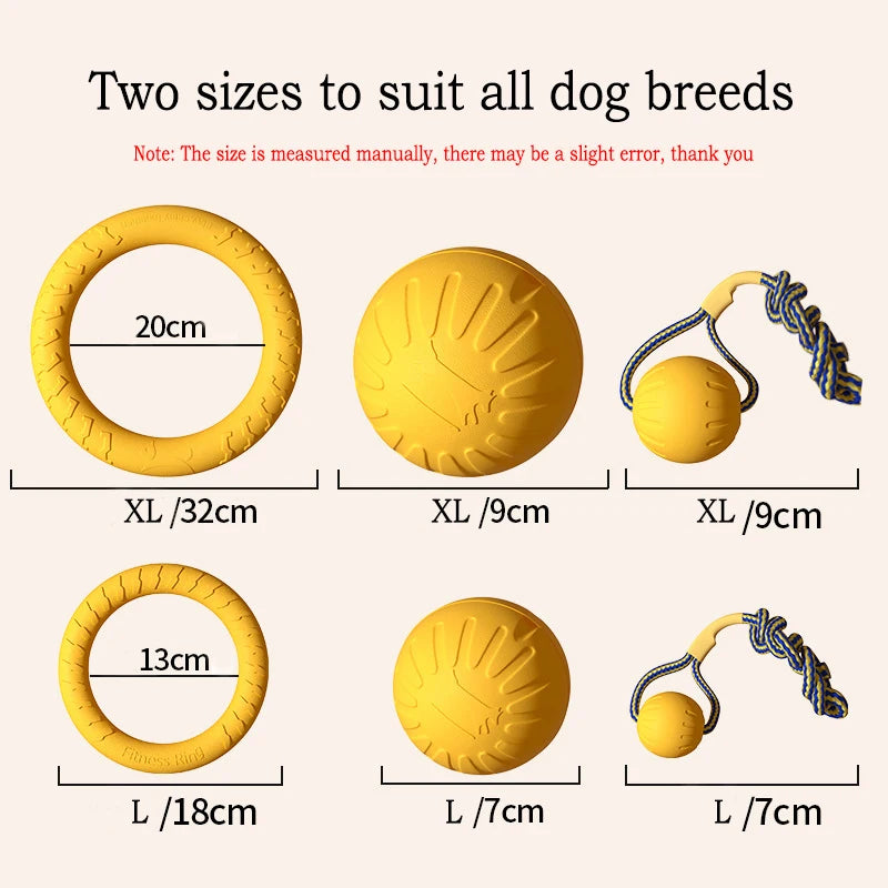 Fetch Toy – Pick Your Style
