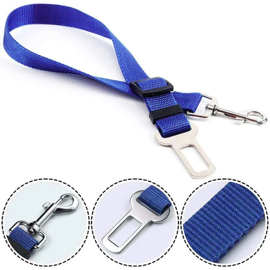 Car Seat Belt Leash