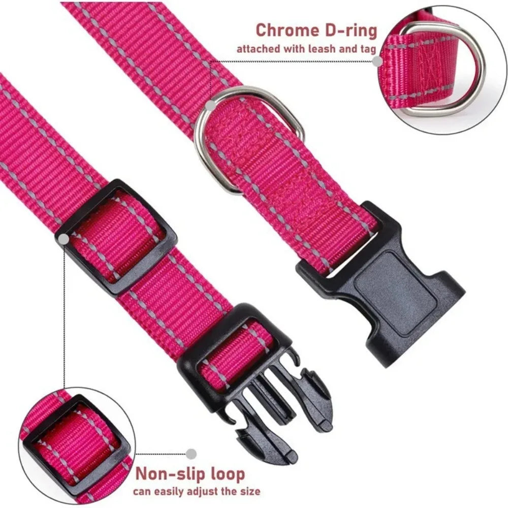 Neoprene Padded Nylon Dog Collar