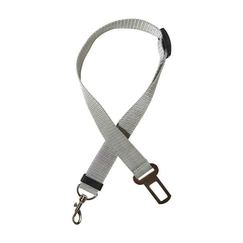 Car Seat Belt Leash