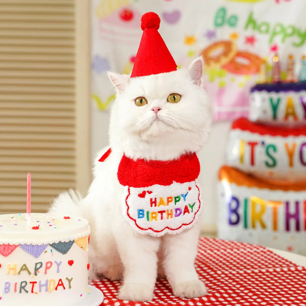 Birthday Bandana & Party Hat Set