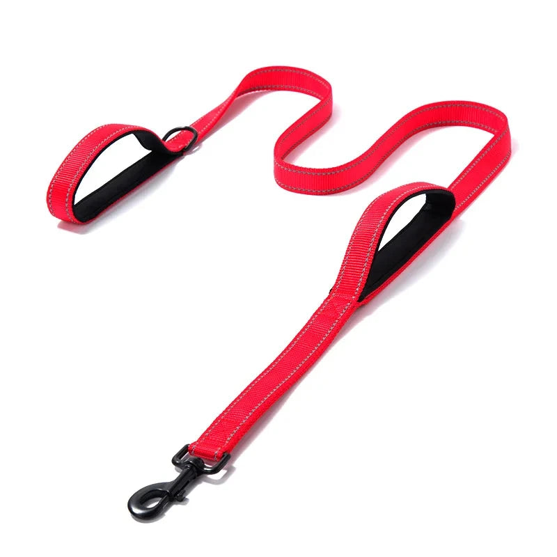 Double-Handle Traffic Leash