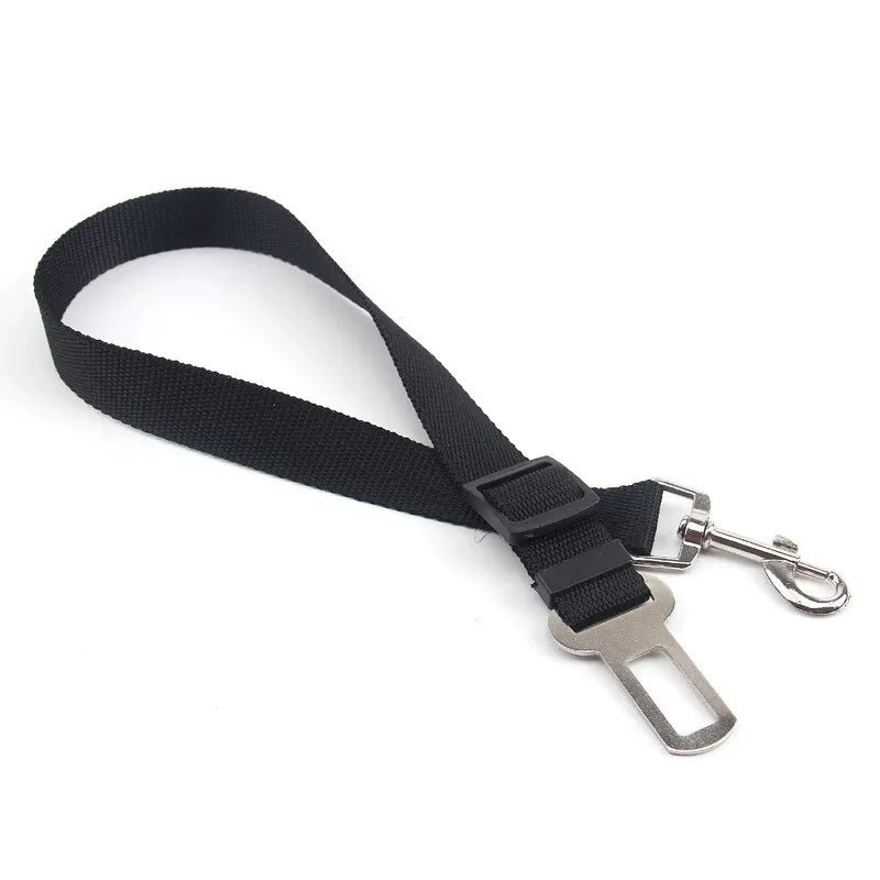 Car Seat Belt Leash