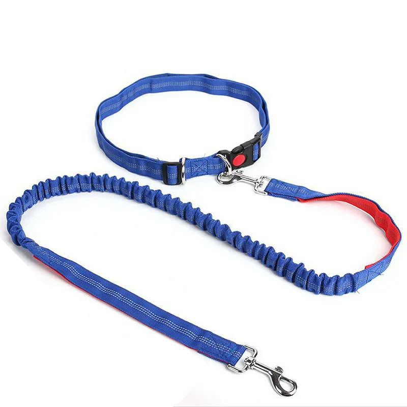 Hands-Free Waist Belt Leash