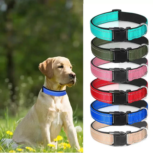 Reflective Padded Dog Collar