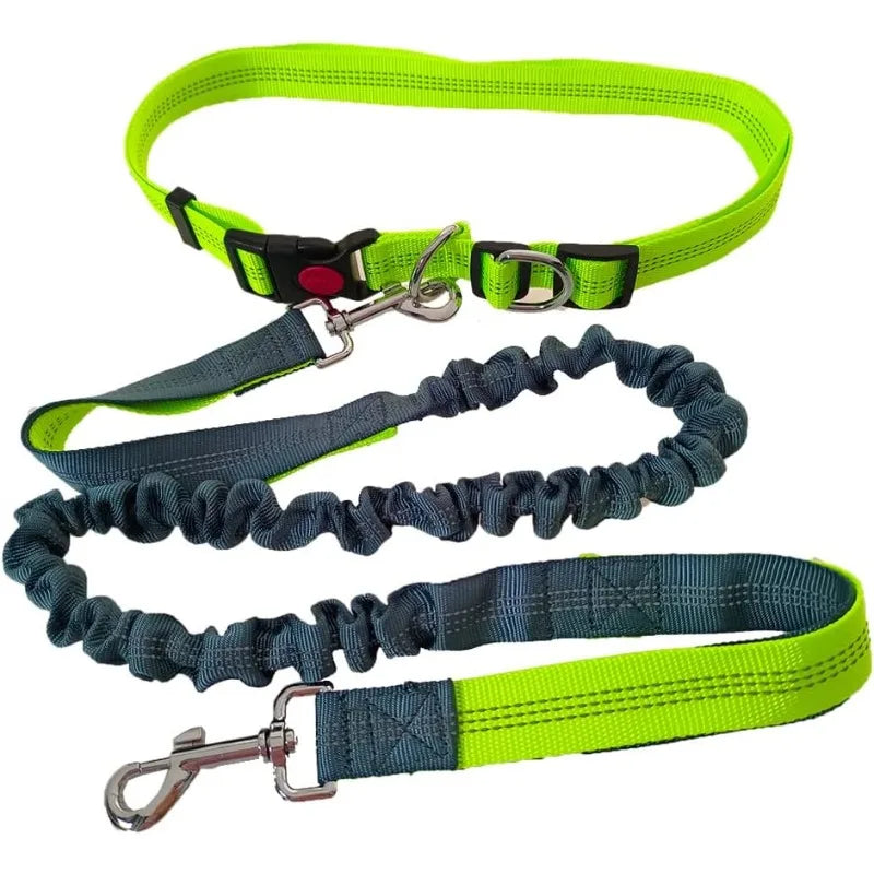 Hands-Free Waist Belt Leash
