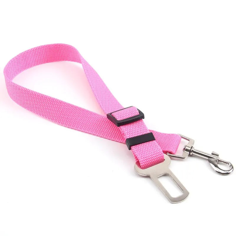 Car Seat Belt Leash
