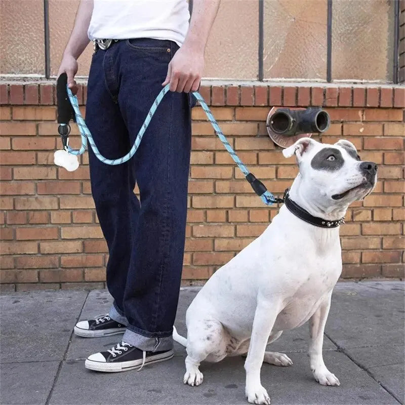 Reflective Padded-Handle Leash