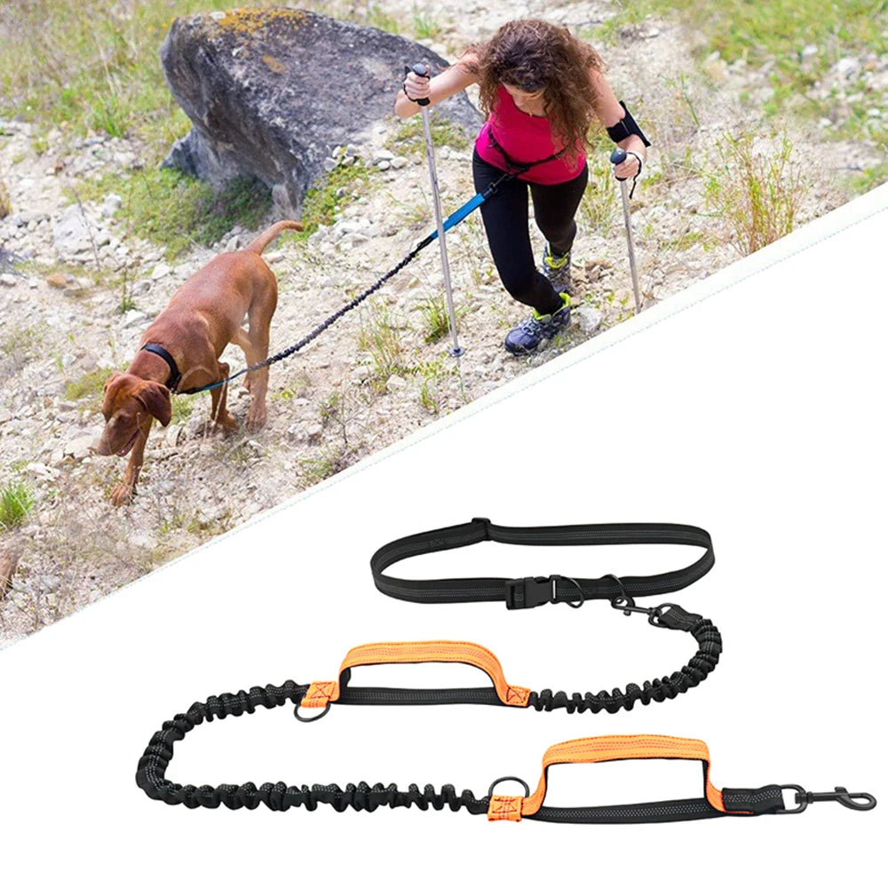 Dual-Dog Reflective Running Leash