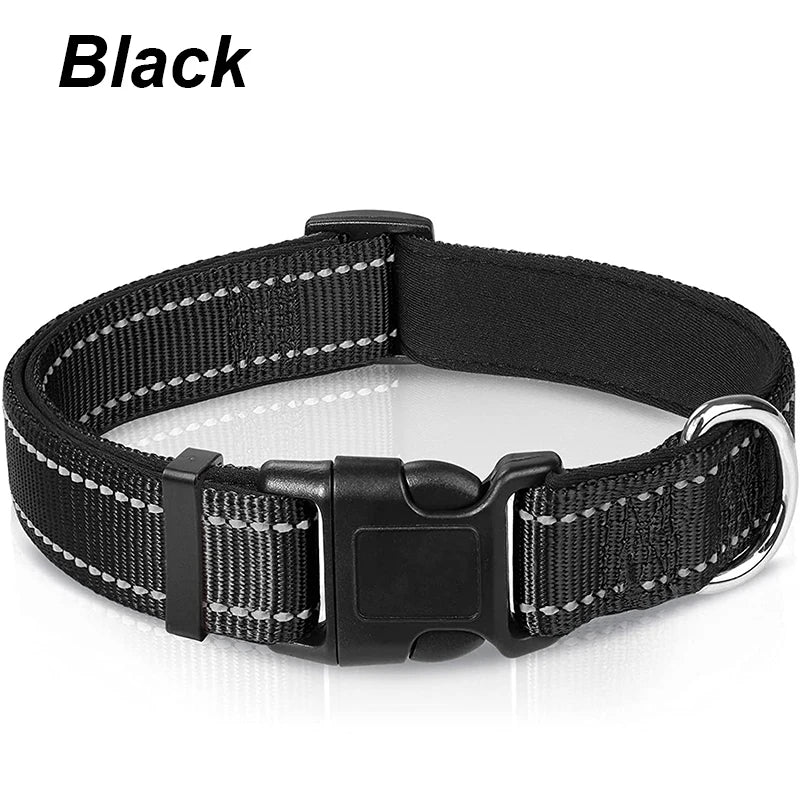 Reflective Padded Dog Collar