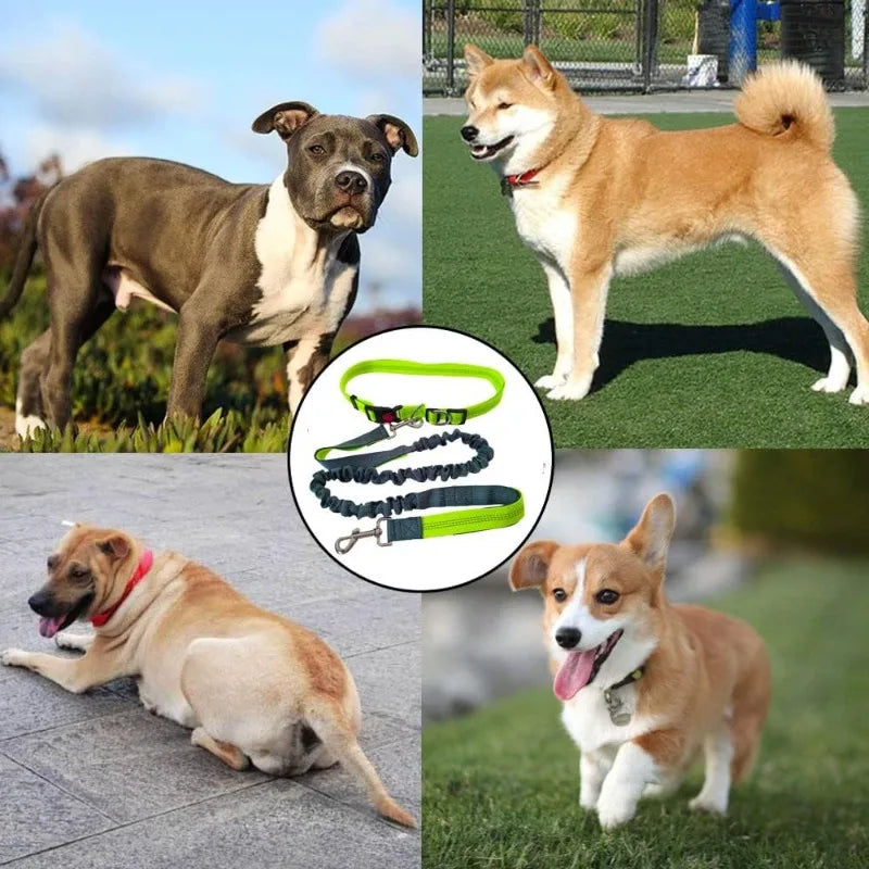 Hands-Free Waist Belt Leash