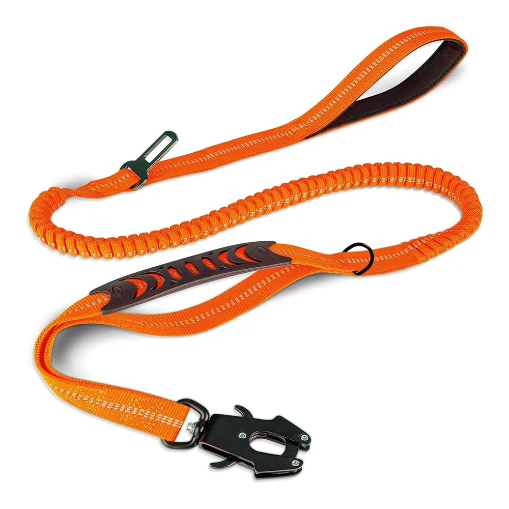 Shock-Absorbing Bungee Leash