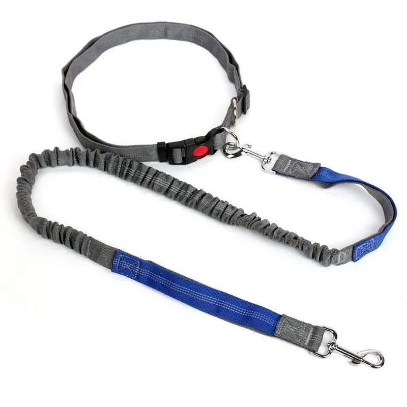 Hands-Free Waist Belt Leash