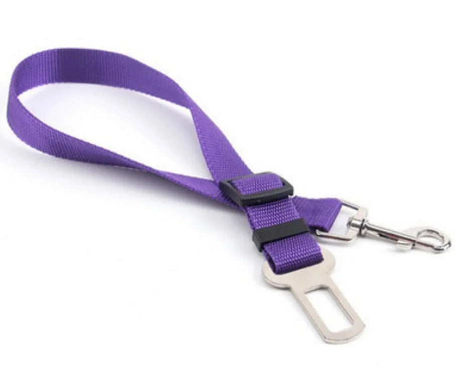 Car Seat Belt Leash