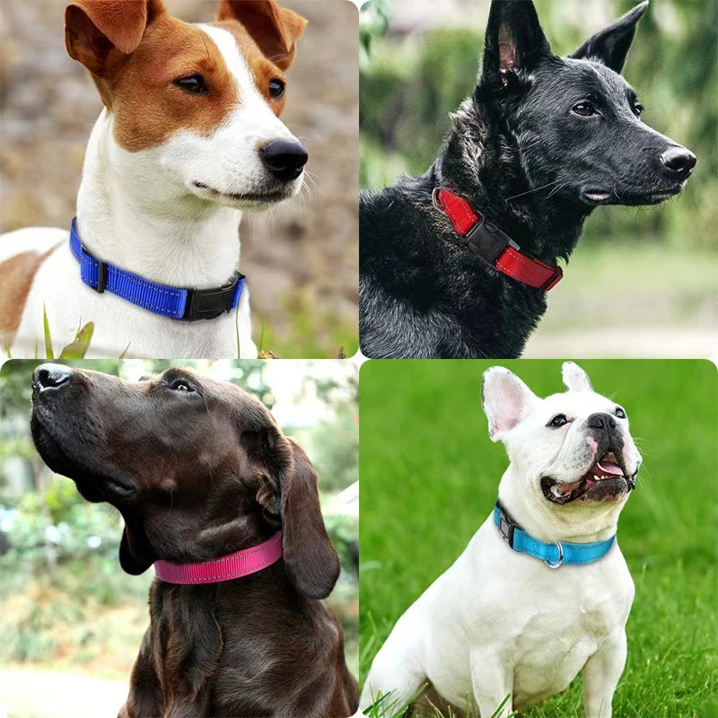 Reflective Padded Dog Collar