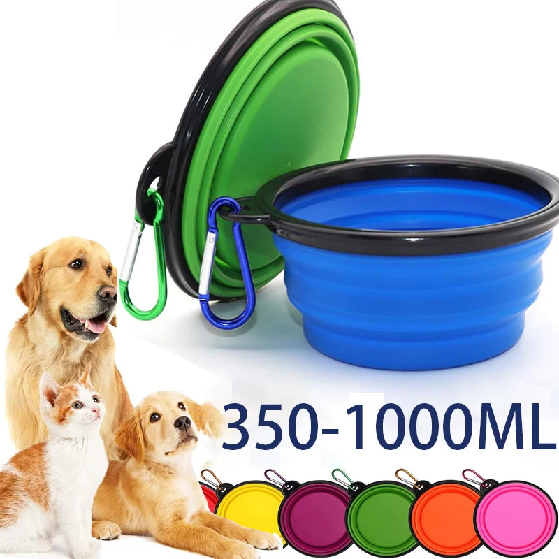 2-in-1 Folding Bowl with Carabiner
