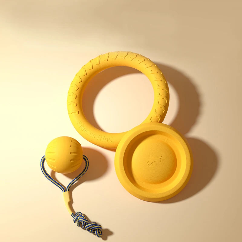 Fetch Toy – Pick Your Style