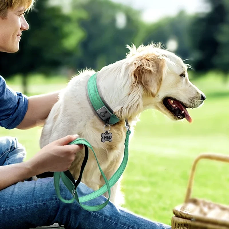 Wide Padded Reflective Collar