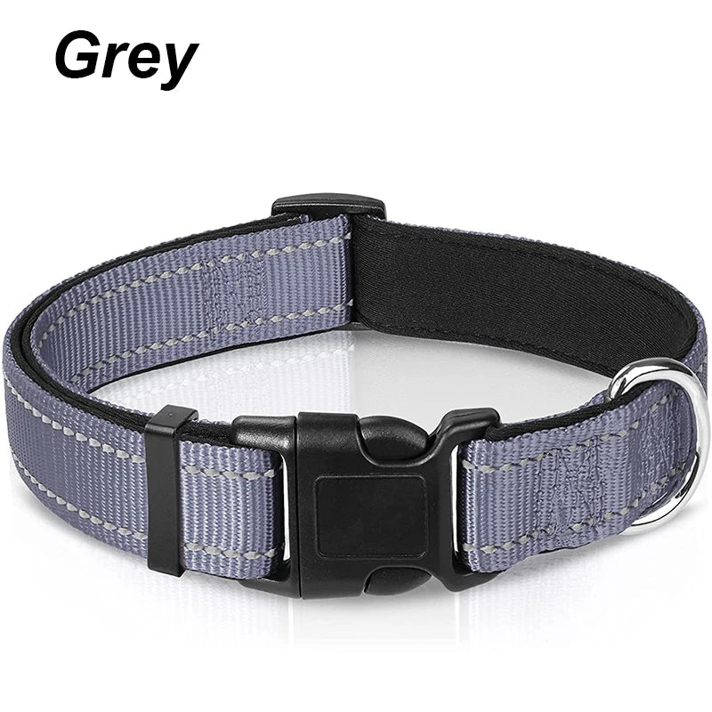 Reflective Padded Dog Collar