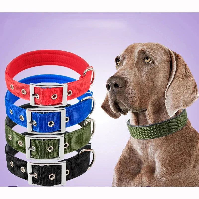 Classic Solid Nylon Dog Collar