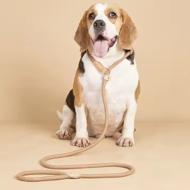 Braided Slip Rope Lead