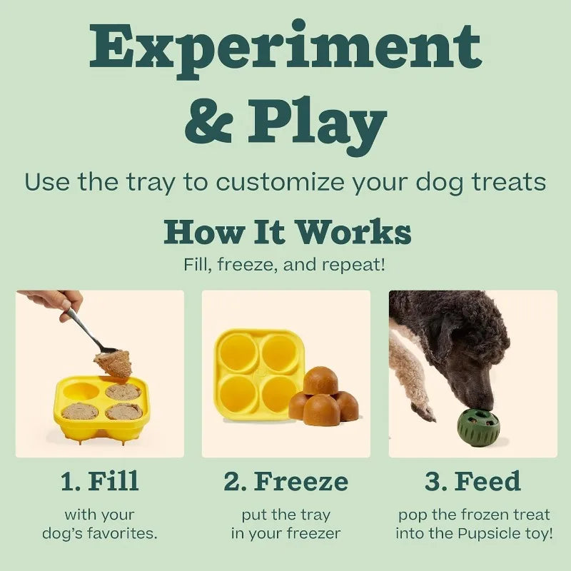 Frozen Treat Mold Toy