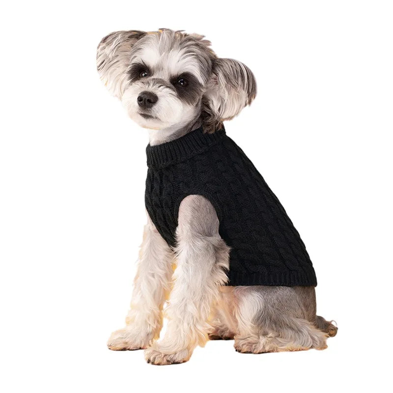Turtleneck Cable Knit Sweater