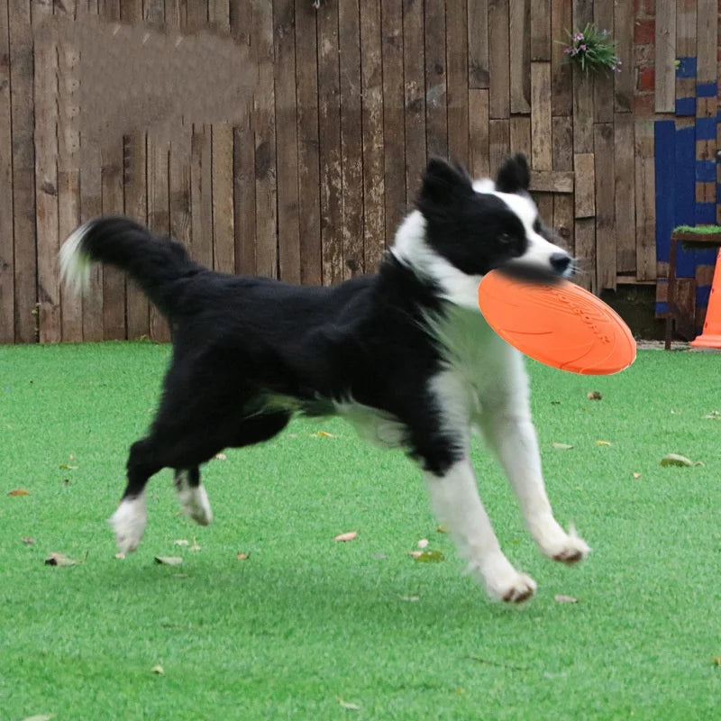 Soft Silicone Flying Disc