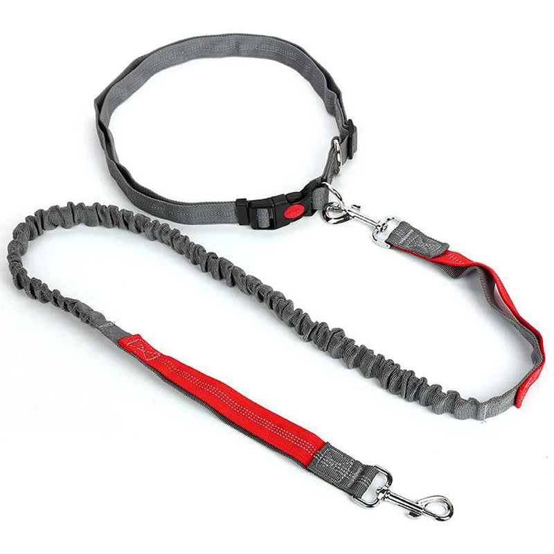 Hands-Free Waist Belt Leash