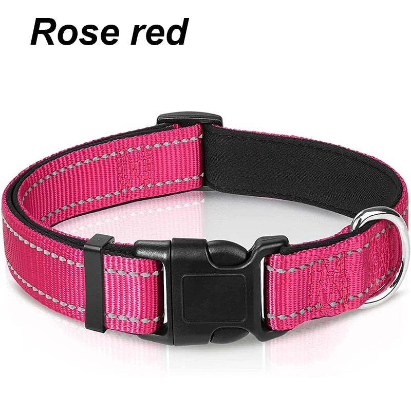 Reflective Padded Dog Collar