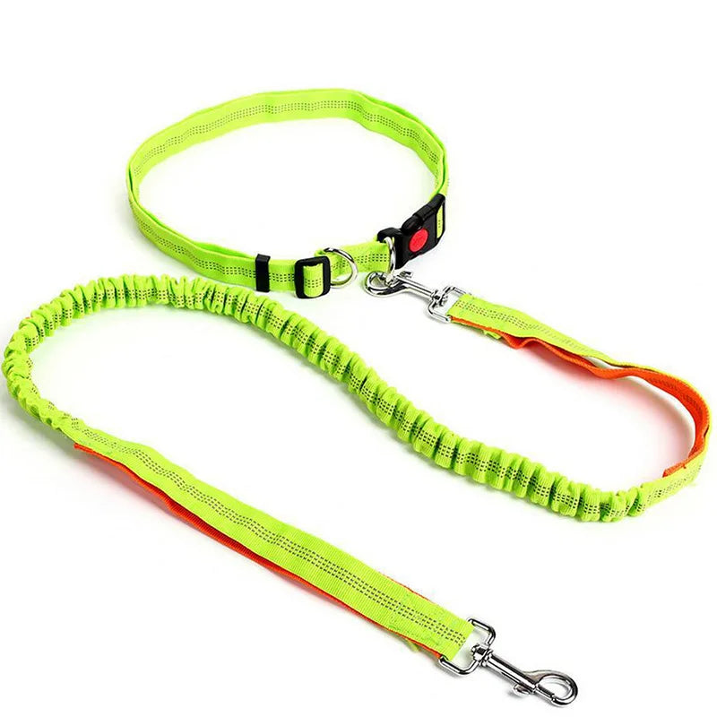 Hands-Free Waist Belt Leash
