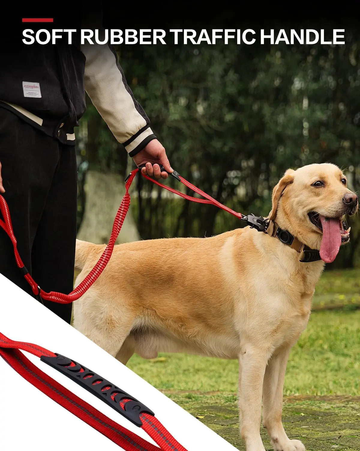 Shock-Absorbing Bungee Leash