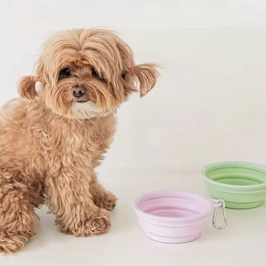 Large Foldable Silicone Travel Bowl