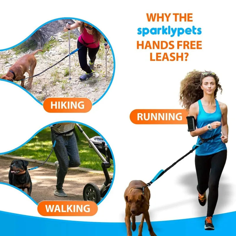 Dual-Dog Reflective Running Leash