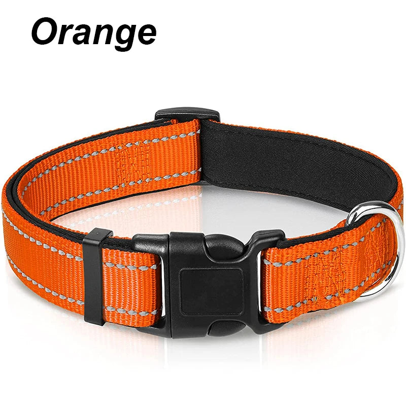 Reflective Padded Dog Collar