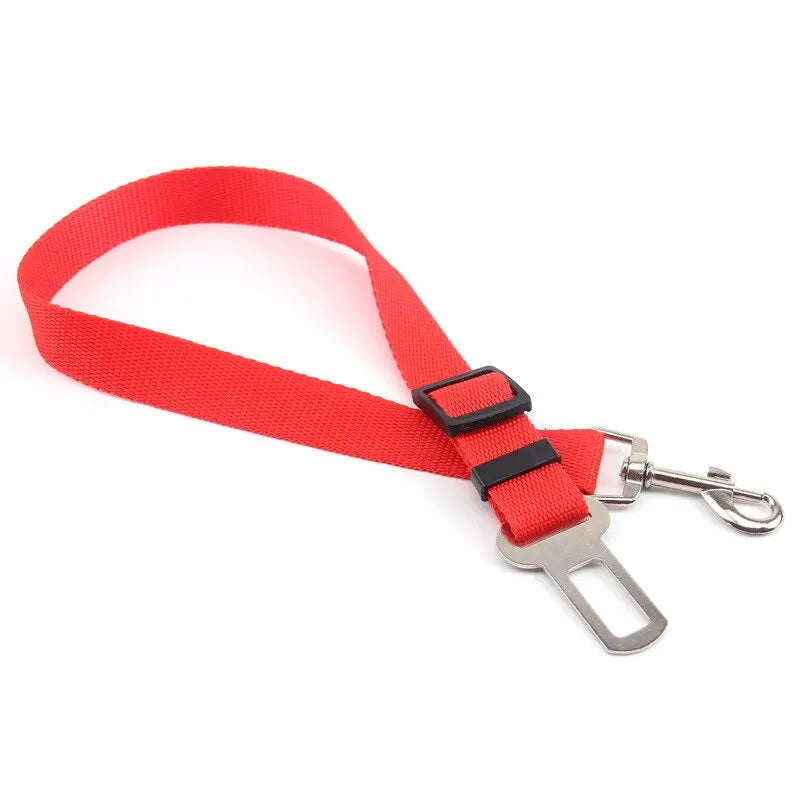 Car Seat Belt Leash