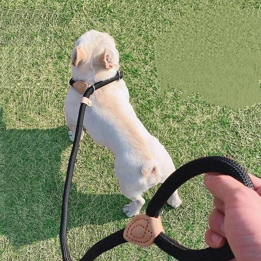 Braided Slip Rope Lead