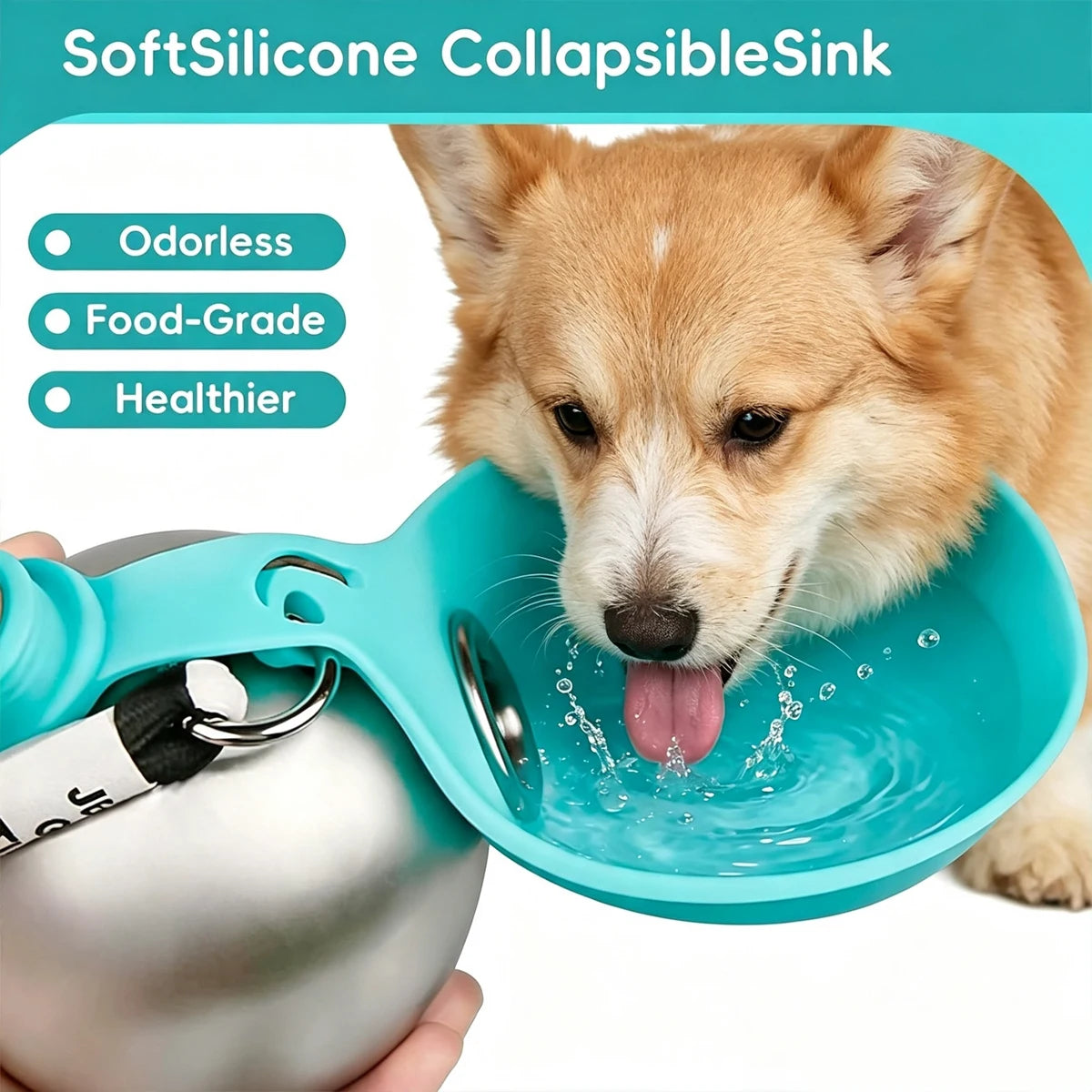 2-in-1 Stainless Water Bottle & Bowl