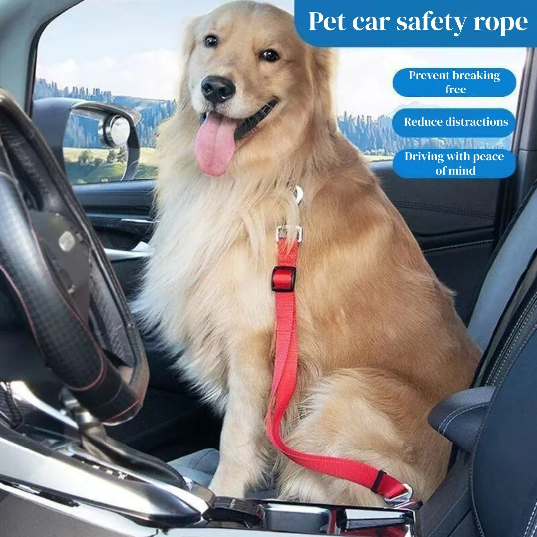Swivel-Hook Car Seat Belt Tether