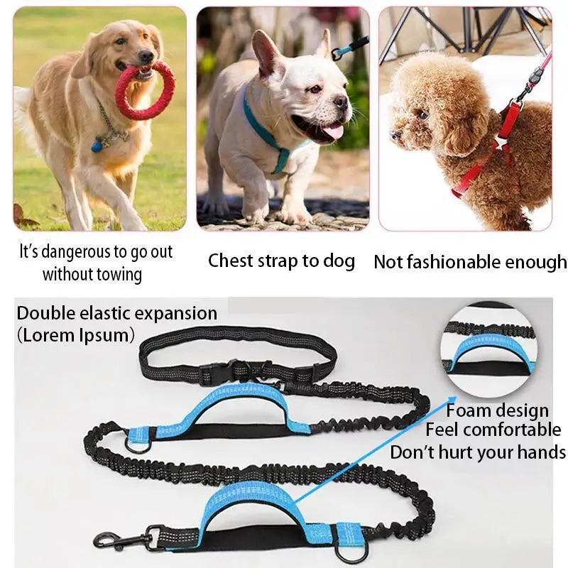 Dual-Dog Reflective Running Leash
