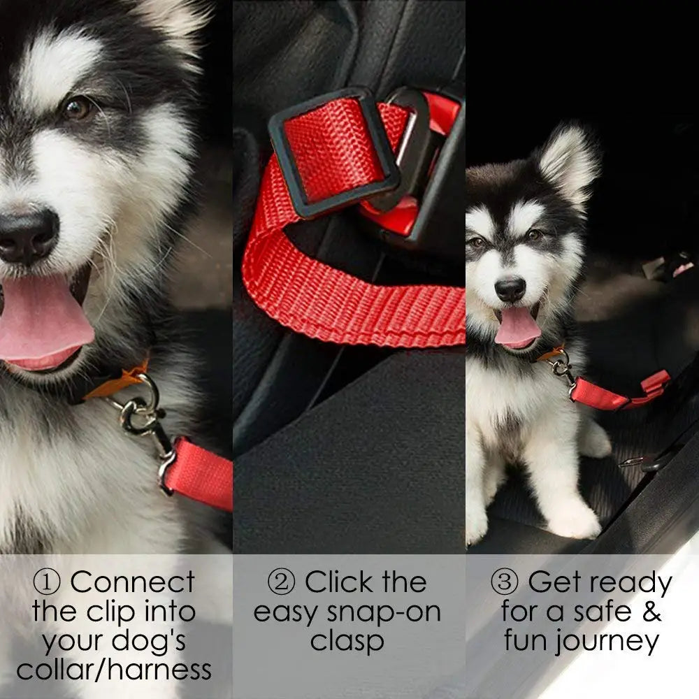 Car Seat Belt Leash