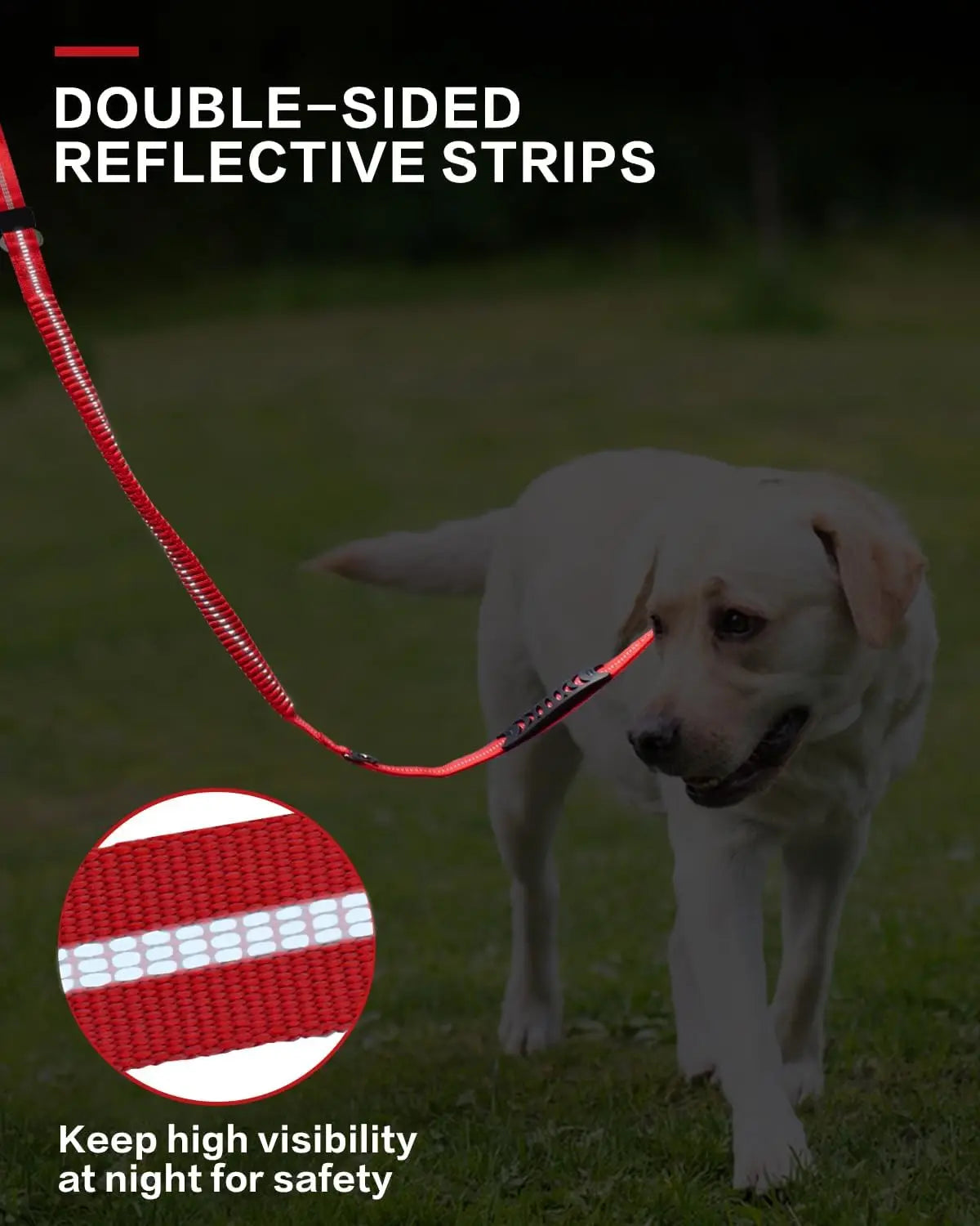 Shock-Absorbing Bungee Leash