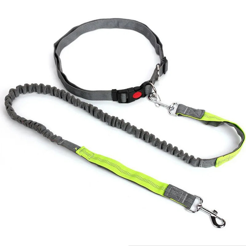 Hands-Free Waist Belt Leash