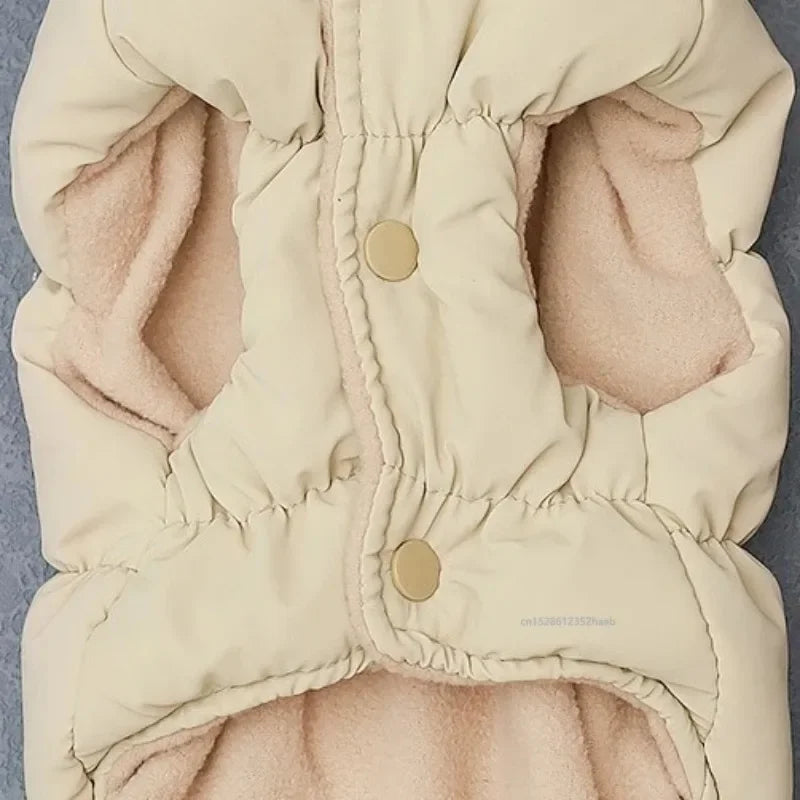 Padded Winter Coat