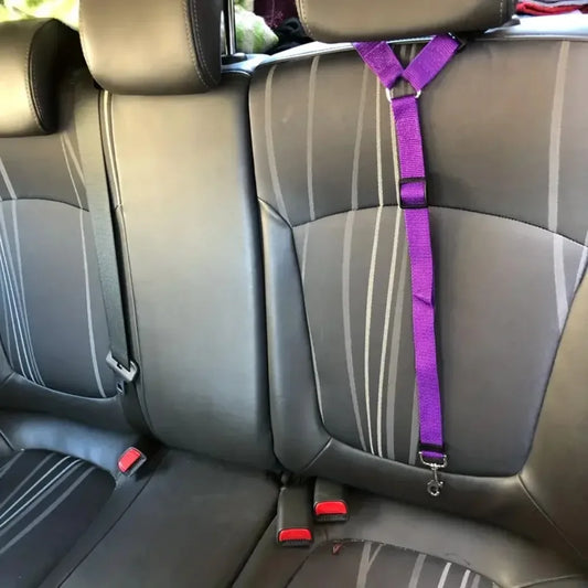Headrest Restraint Seat Belt