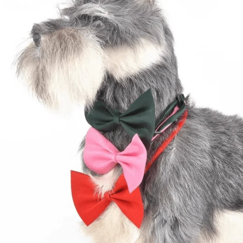 Adjustable Bow Tie Collar