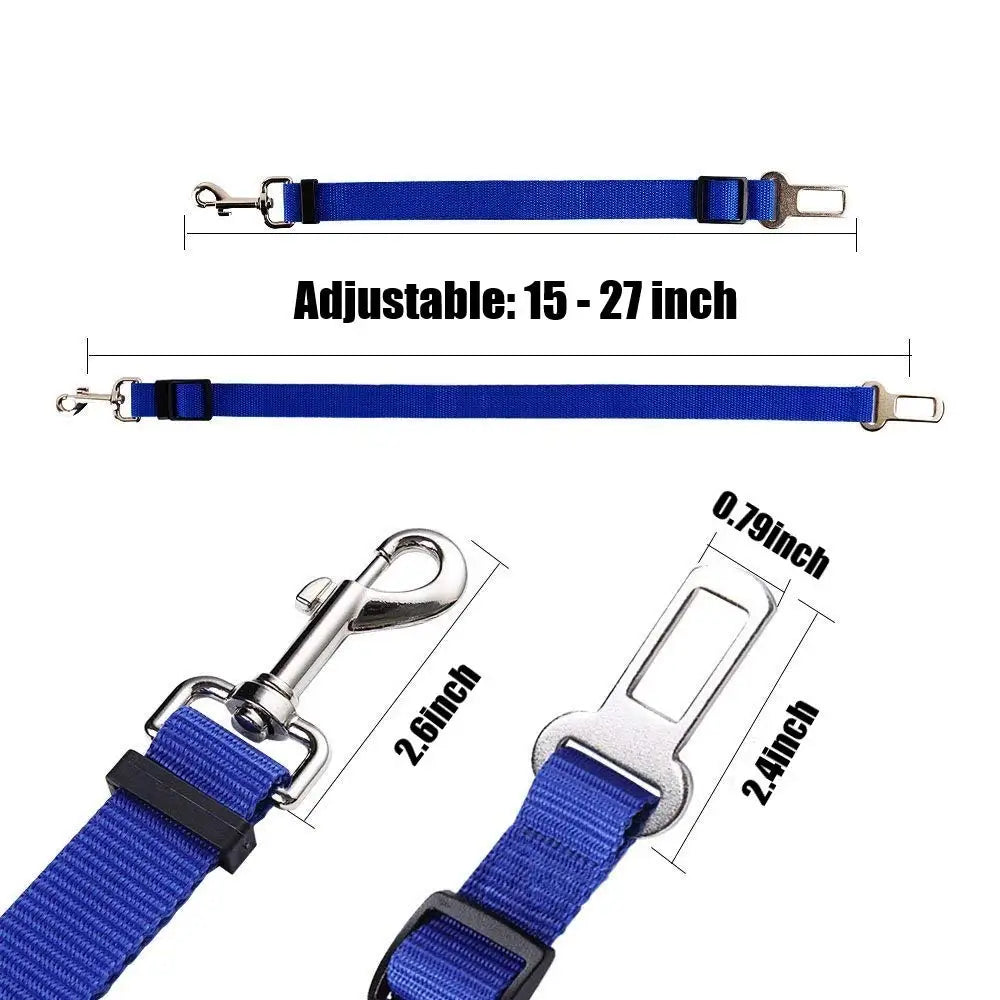 Car Seat Belt Leash