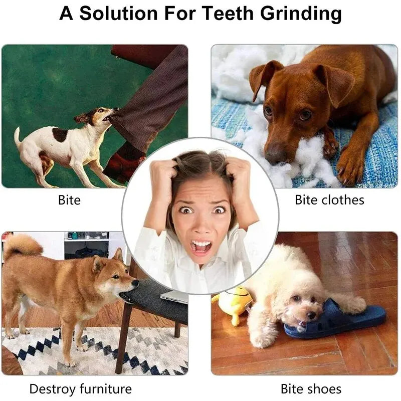 Treat-Dispensing Rubber Ball