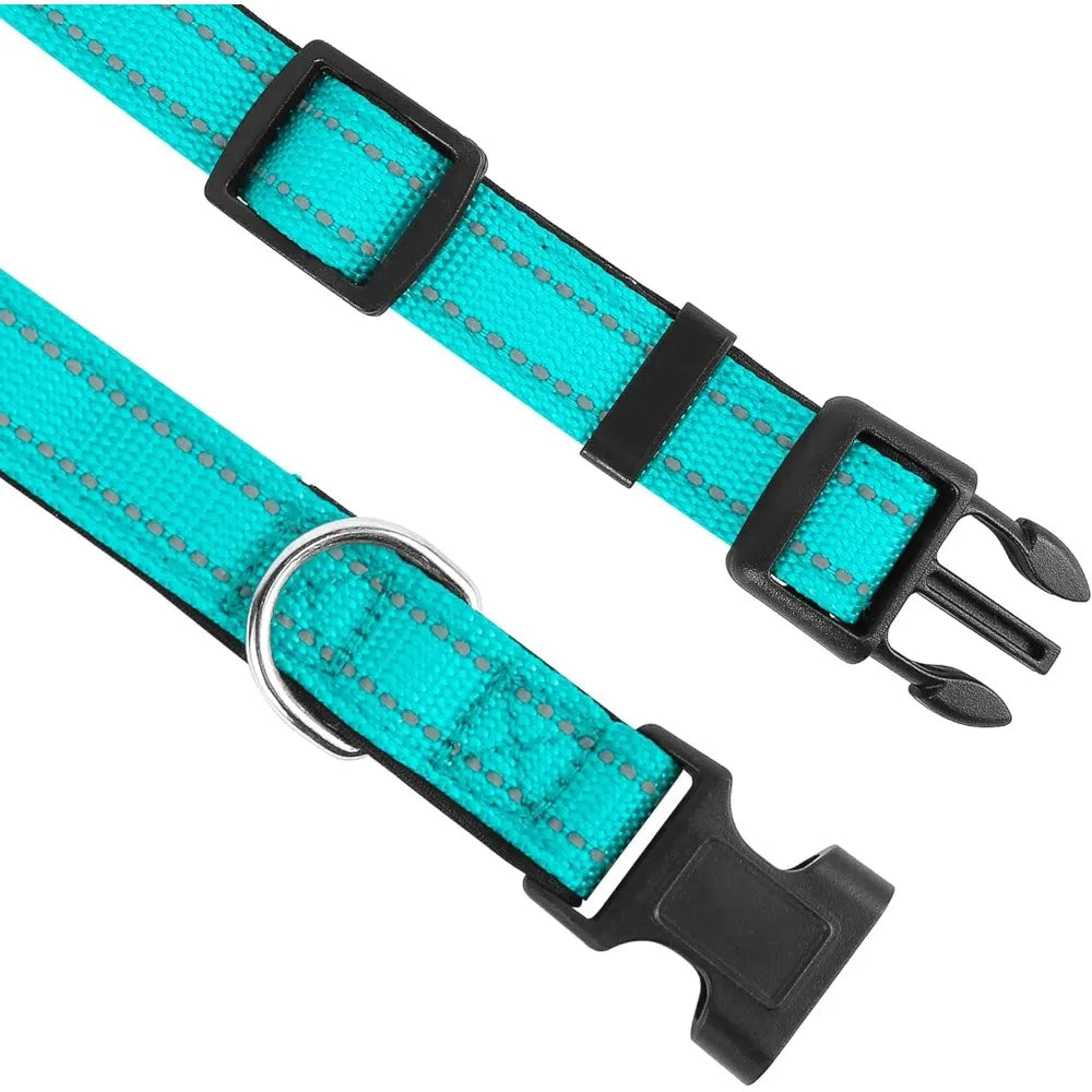 Neoprene Padded Nylon Dog Collar